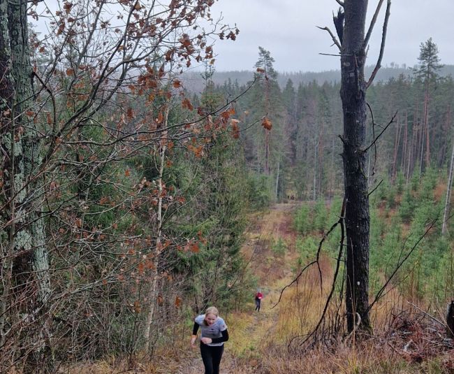 Skrējienā Latvijai dodas vairāk nekā 70 dalībnieku