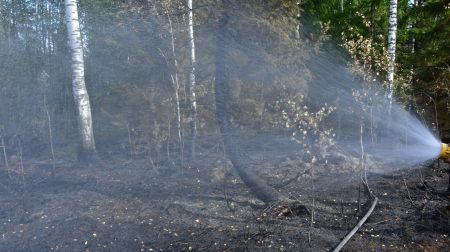 Ugunsgrēka teritorijā Rožu purvā turpinās situācijas uzraudzība