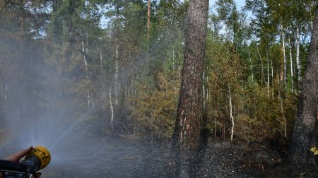 Ugunsgrēka teritorijā Rožu purvā turpinās situācijas uzraudzība