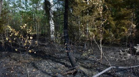 Ugunsgrēka teritorijā Rožu purvā turpinās situācijas uzraudzība