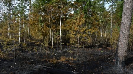 Ugunsgrēka teritorijā Rožu purvā turpinās situācijas uzraudzība