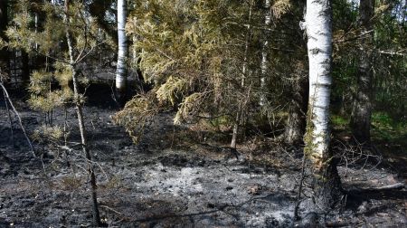 Ugunsgrēka teritorijā Rožu purvā turpinās situācijas uzraudzība