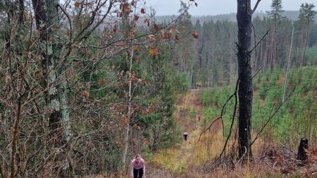 Skrējienā Latvijai dodas vairāk nekā 70 dalībnieku