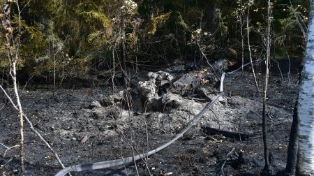 Ugunsgrēka teritorijā Rožu purvā turpinās situācijas uzraudzība