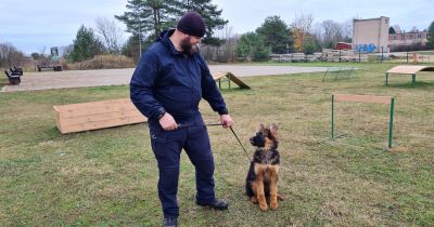 Jēkabpils kinologs policijas dienestam apmāca jaunu suni