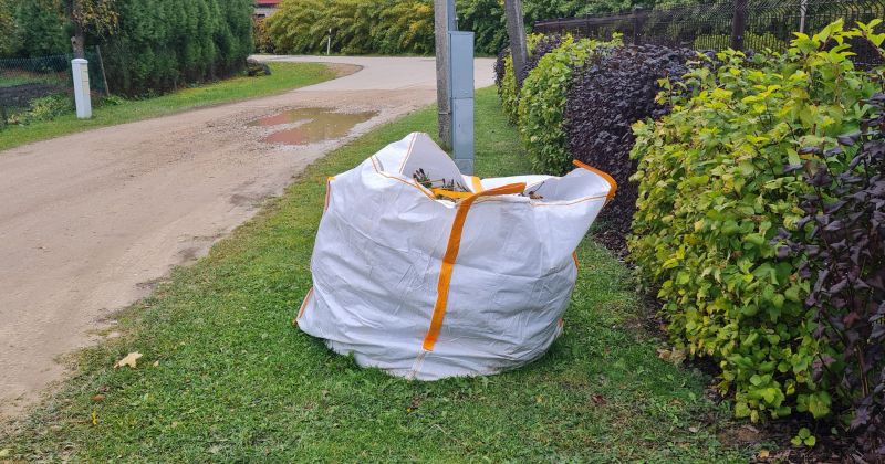 Jēkabpilī arī šogad bez maksas izvedīs koku lapas