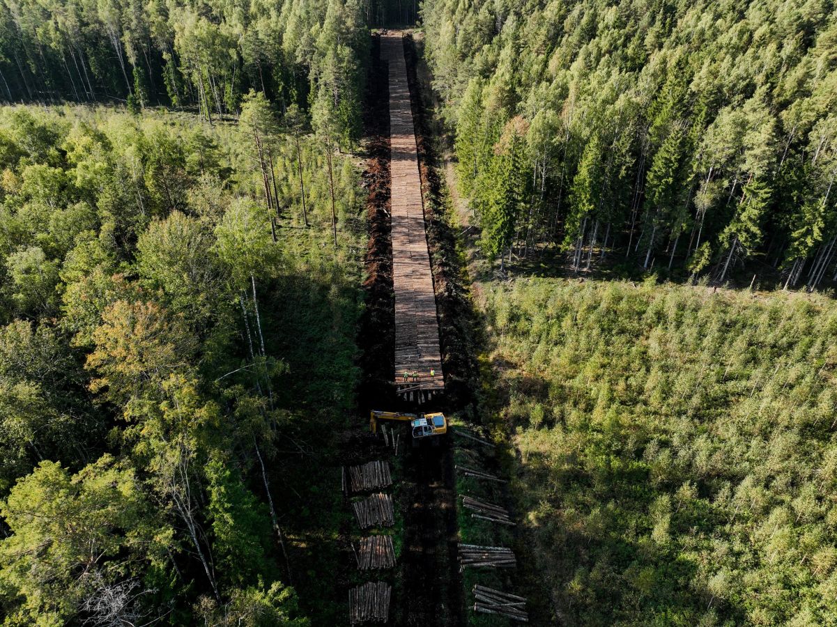 “Latvijas valsts meži” Viesītes iecirknī izbūvēts jauns meža autoceļš