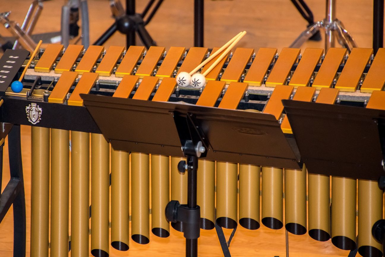 Jēkabpils mūzikas skolai piešķirti līdzekļi mūzikas instrumentu iegādei
