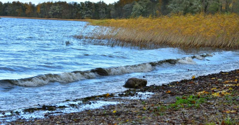 Saukas ezerā atrastas 3500 gadus vecas fosilās atliekas
