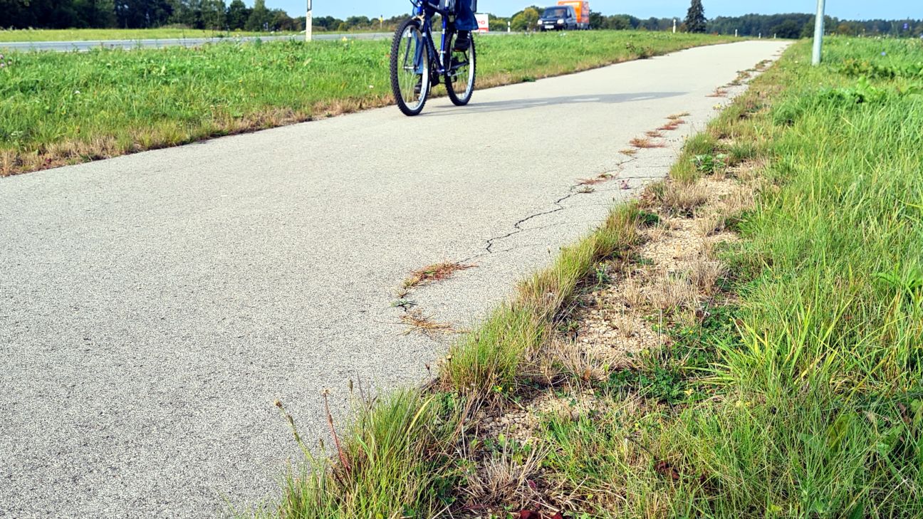 Tā ir ņirgāšanās – iedzīvotāji sašutuši par veloceliņu no Jēkabpils uz Spuņģēniem